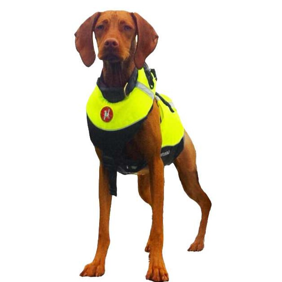 Safety * | Firstwatch Dog Flotation Vest Large Flash Sale First Watch Pacific Quest Inc.